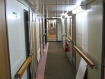 keld50