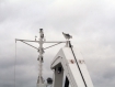 eng_keld_026