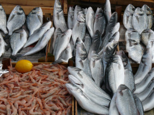fish products
